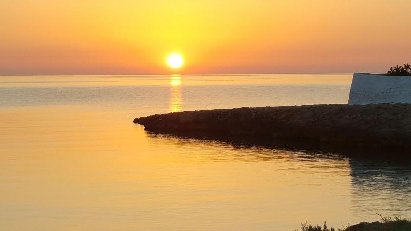 B&B Casa Fiore Polignano a Mare Eksteriør bilde
